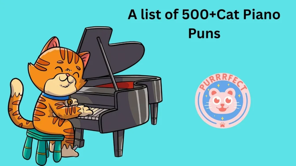 Cat Piano Puns