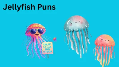 Jellyfish Puns