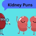 Kidney Puns