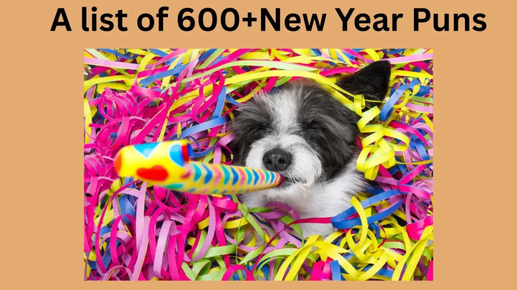 Funny New Year 