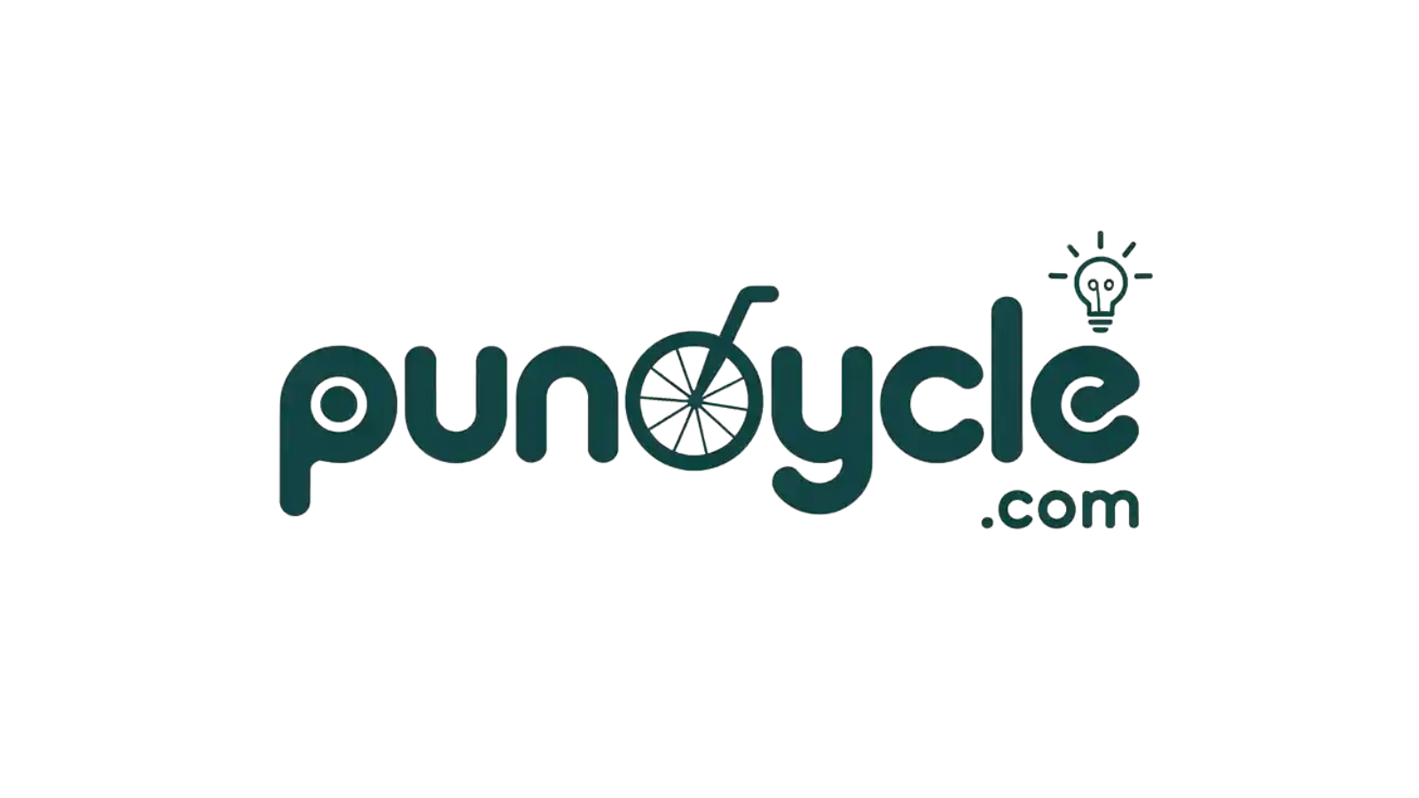 puncycle.com