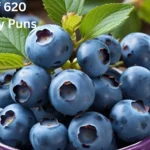 Blueberry Puns