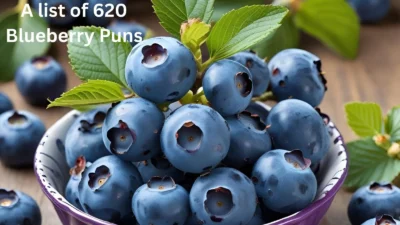 Blueberry Puns