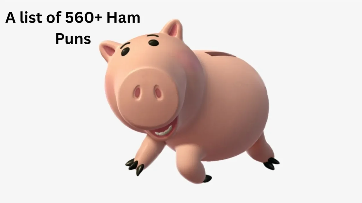 Ham Puns