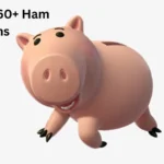 Ham Puns