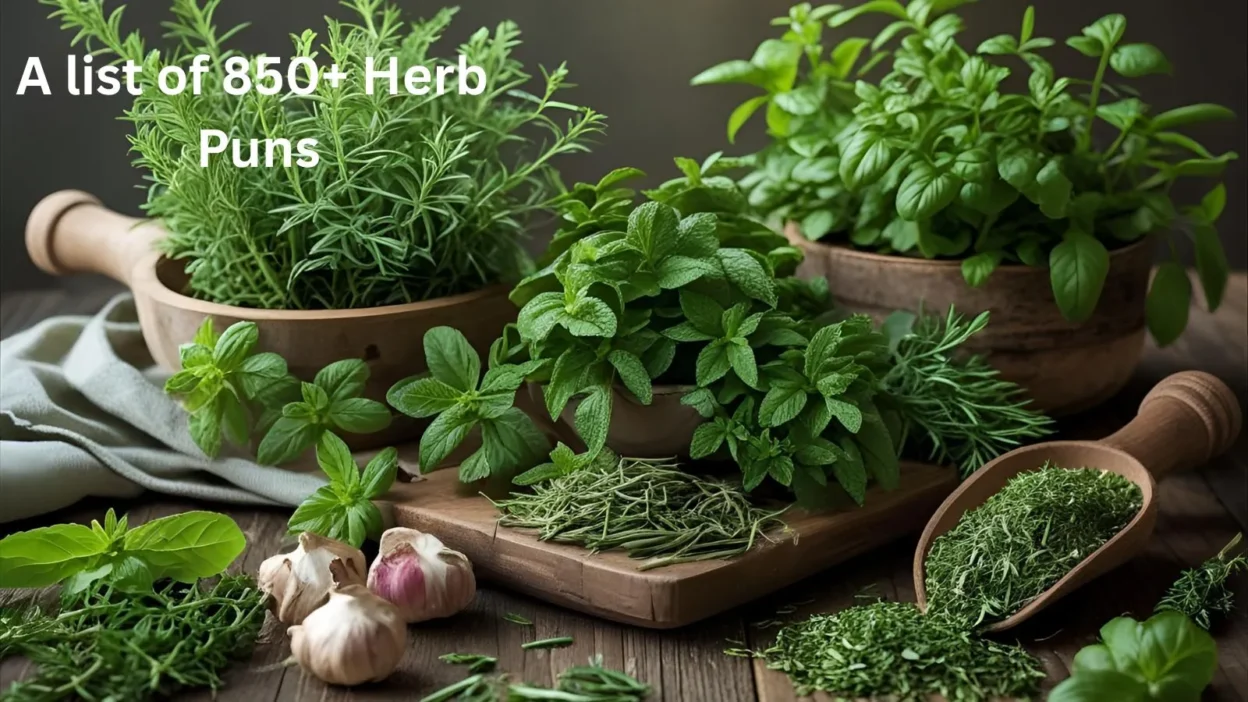 Herb Puns