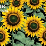 Sunflower Puns