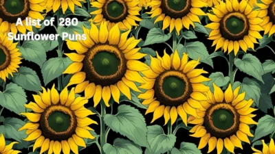 Sunflower Puns