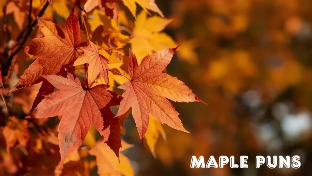 Maple Puns