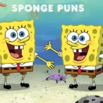 Sponge Puns