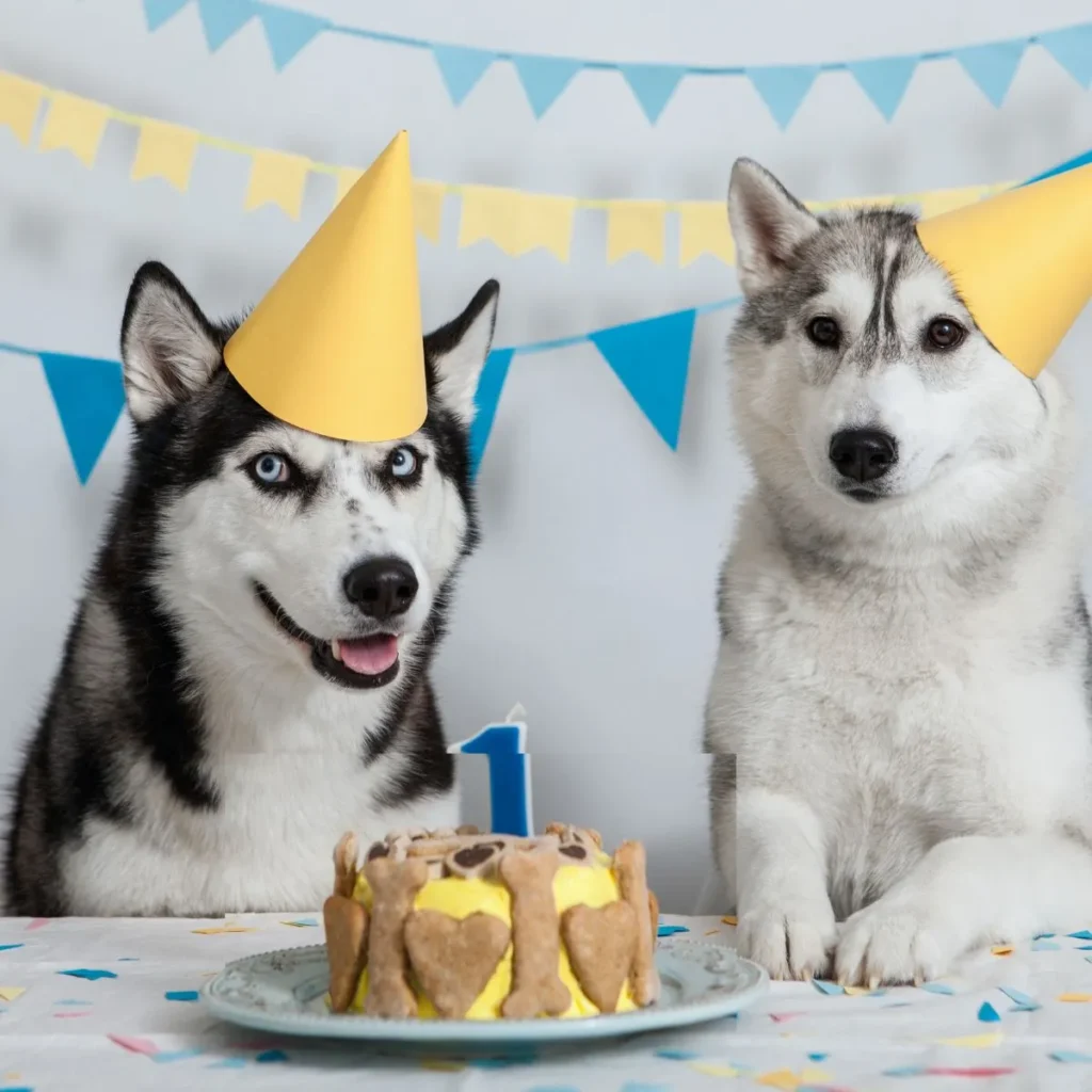 Birthday Puppy Puns