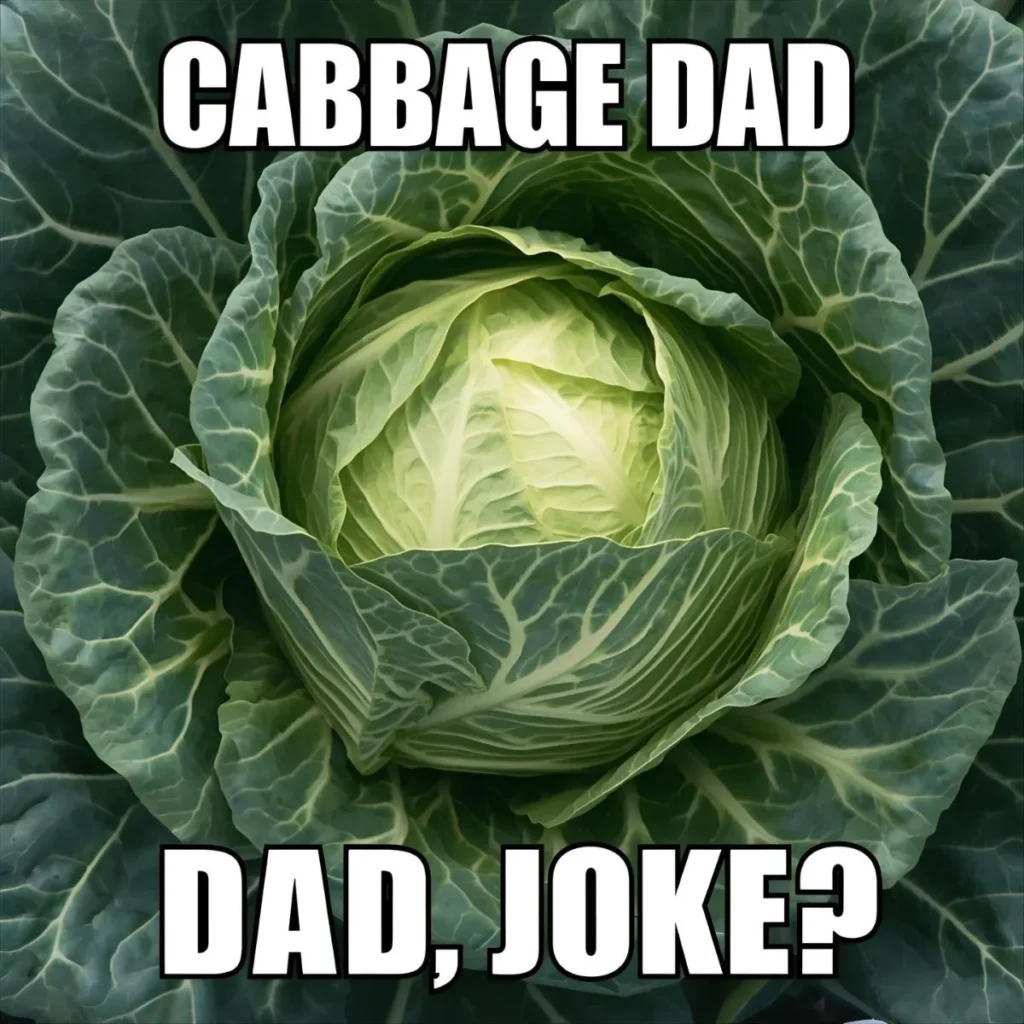 Cabbage Dad Jokes