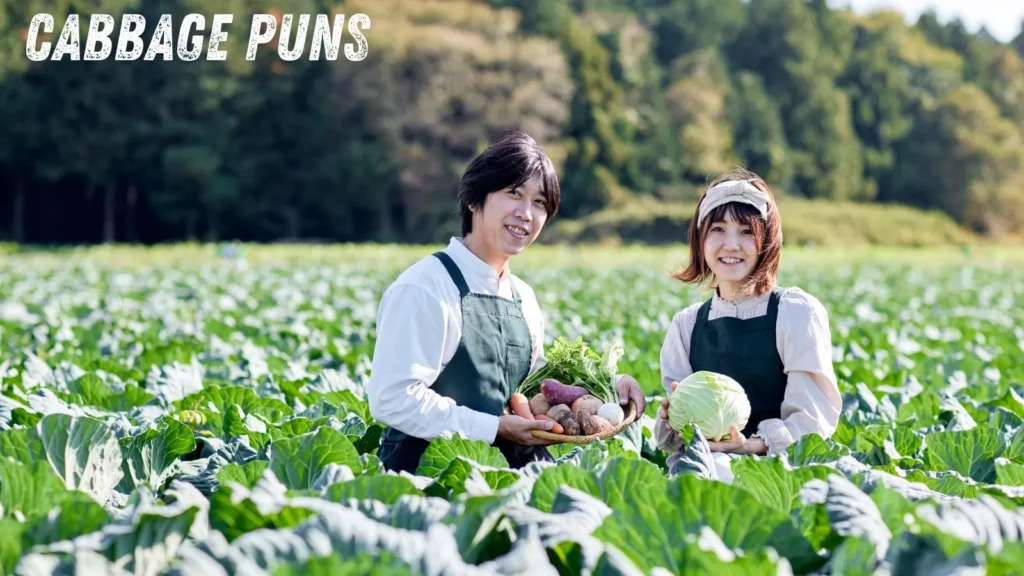 Cabbage Puns