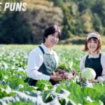 Cabbage Puns