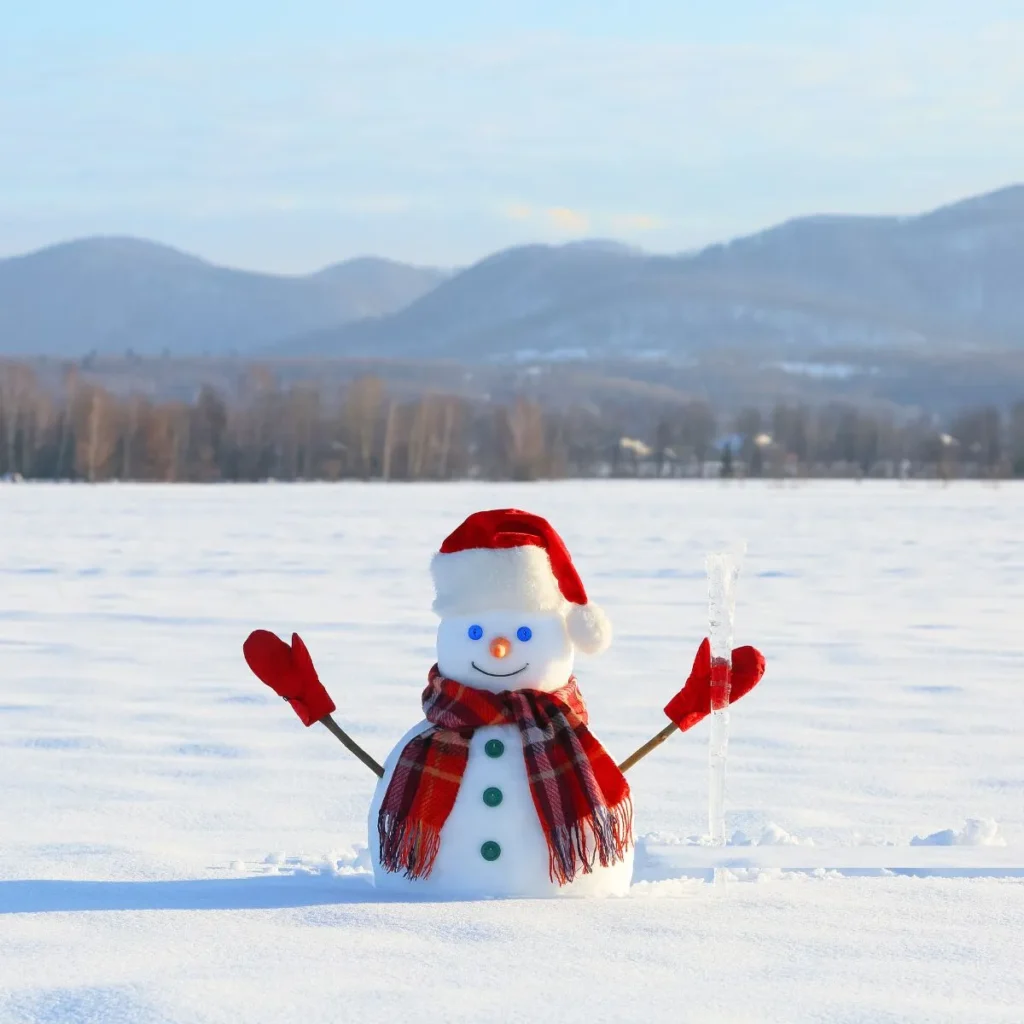 Christmas Snowball Puns