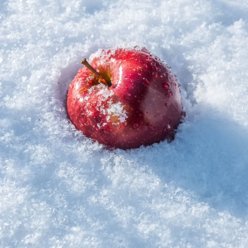 Cold and Chill Snowball Puns