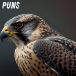 Falcon Puns