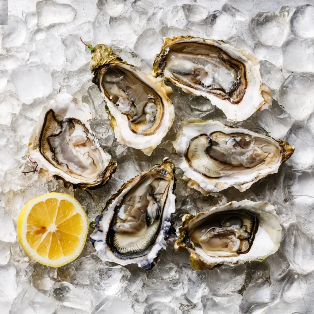 Funny Oyster Puns for Friends