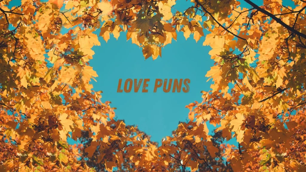 Love Puns