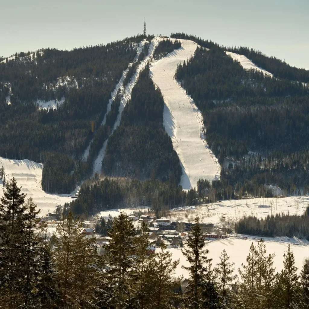 Mountain Ski Puns
