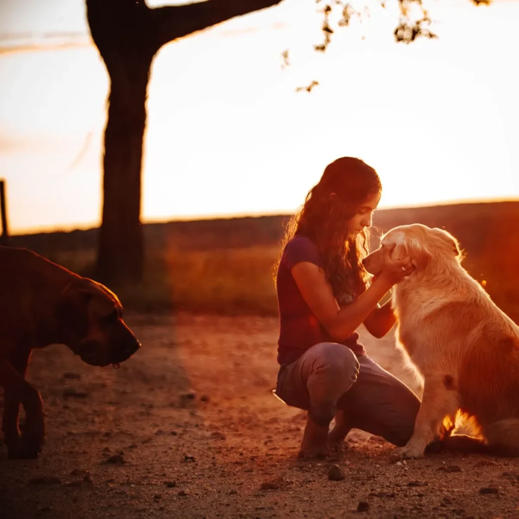 Pet-Lover Anniversary Puns