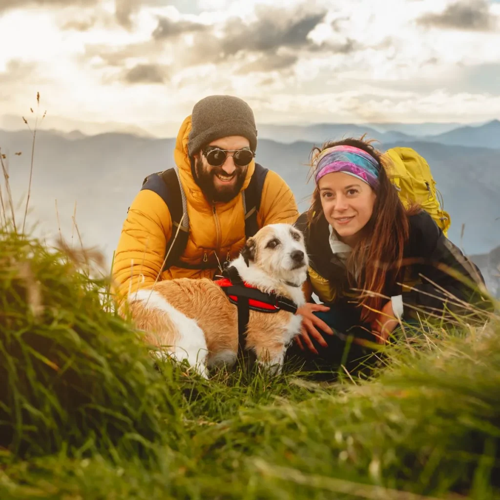 Travel Quotes with Puns