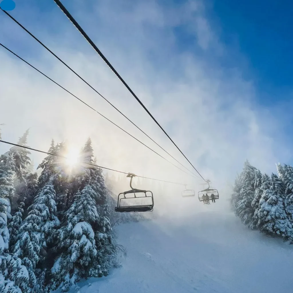 Winter Ski Puns
