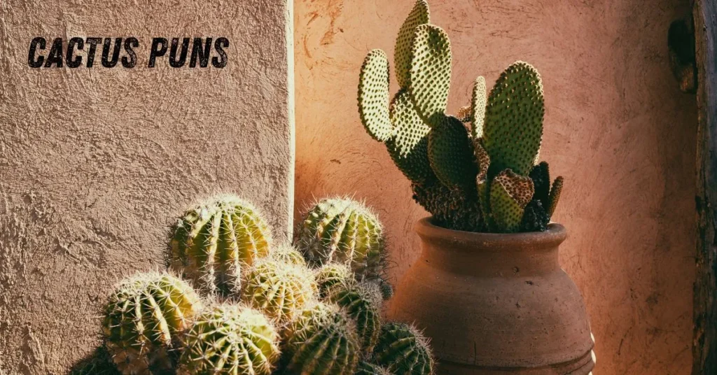 Cactus Puns