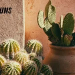 Cactus Puns
