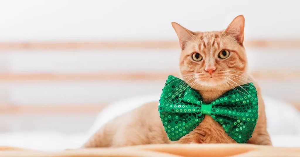 Clever St. Patrick’s Day Puns for Office Humor