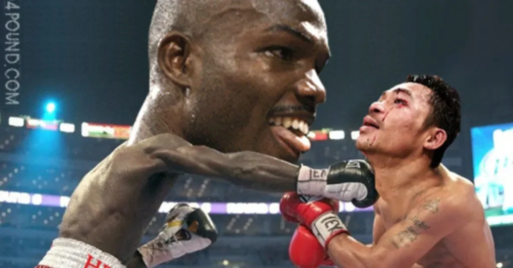 Funny Boxing Jokes to Make You Laugh