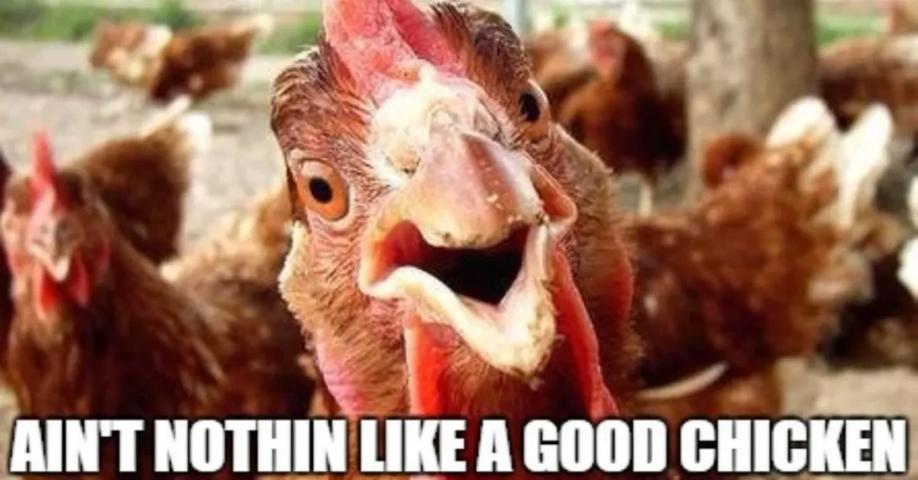 Funny Hen Puns to Crack You Up