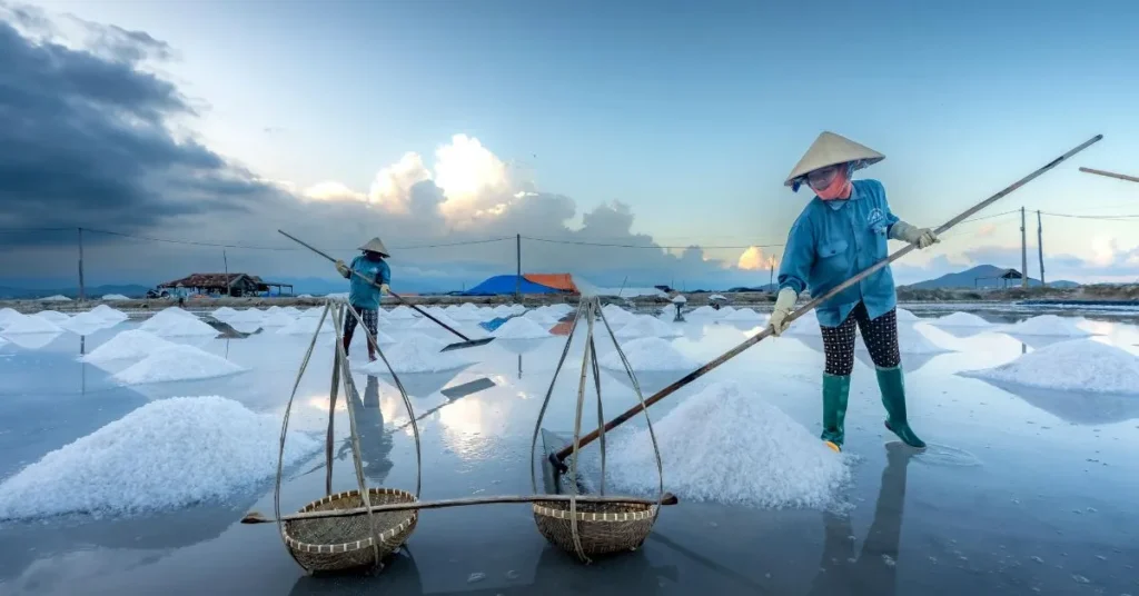 Funny Salt Puns to Make You Laugh