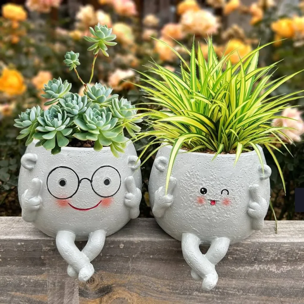 Funny Succulent Puns