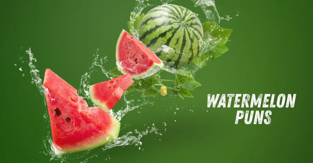 Watermelon Puns
