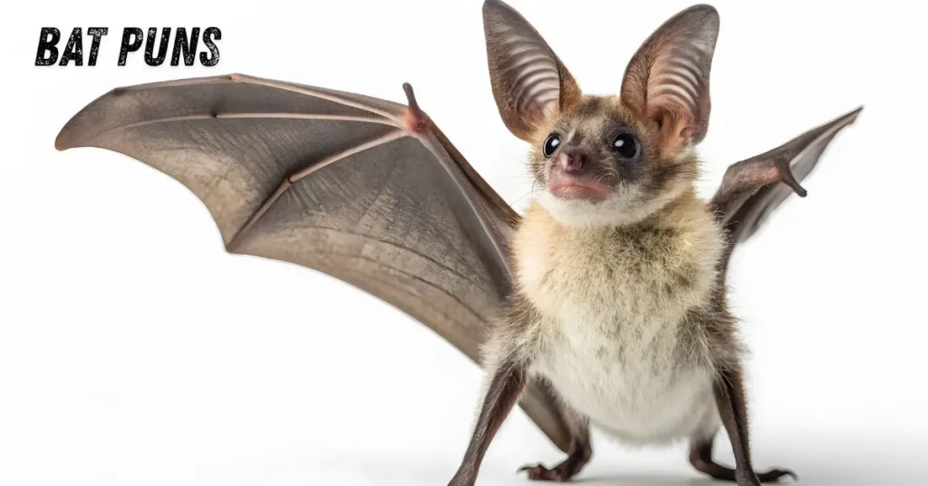 Bat Puns