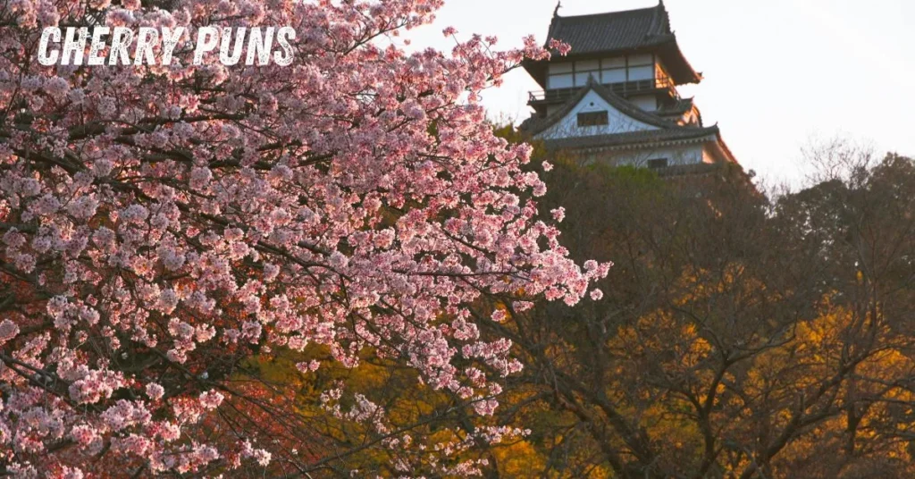 Cherry Puns