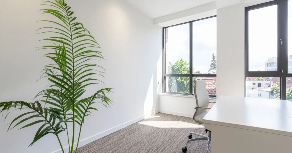 Clean Window Puns That Shine Bright