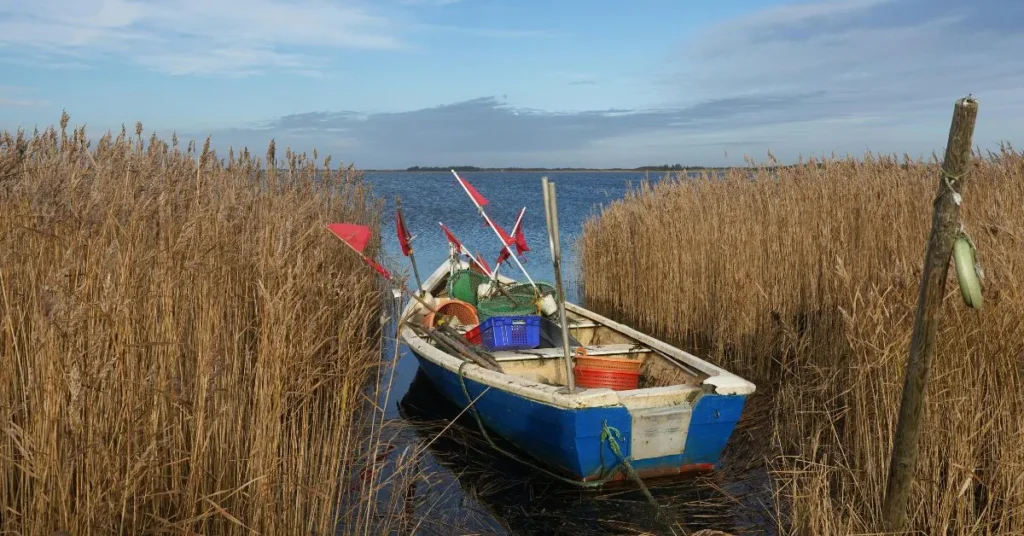 Danish Culture Puns That Feel Hygge