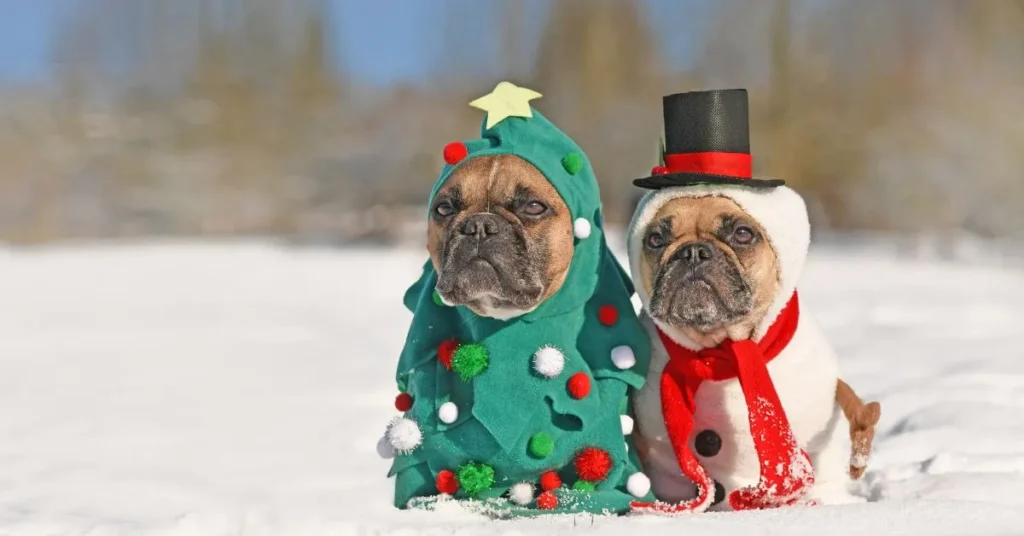 Funny Lexophile Puns