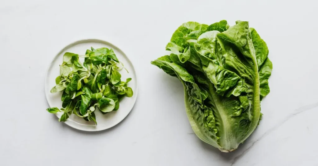 Lettuce Puns for Instagram