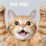 Paw Puns