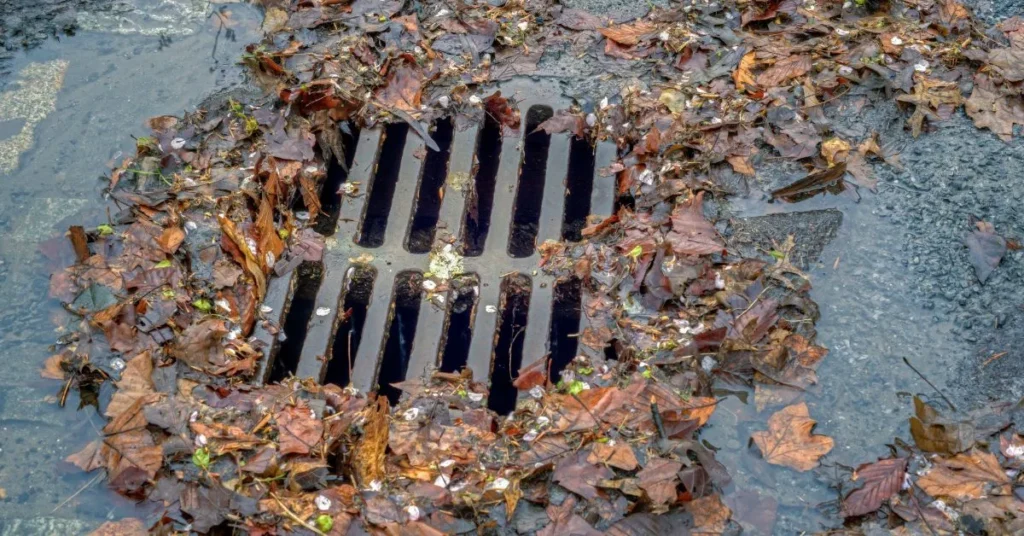 Storm Drain Puns