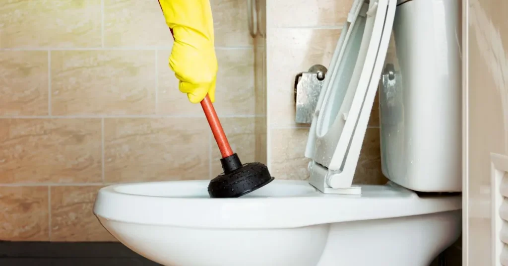 Toilet Bowl Puns That Shine Bright