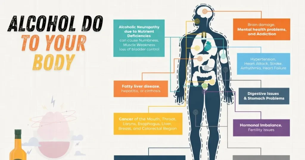 Alcohol Do to Your Body