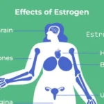 Estrogen Do