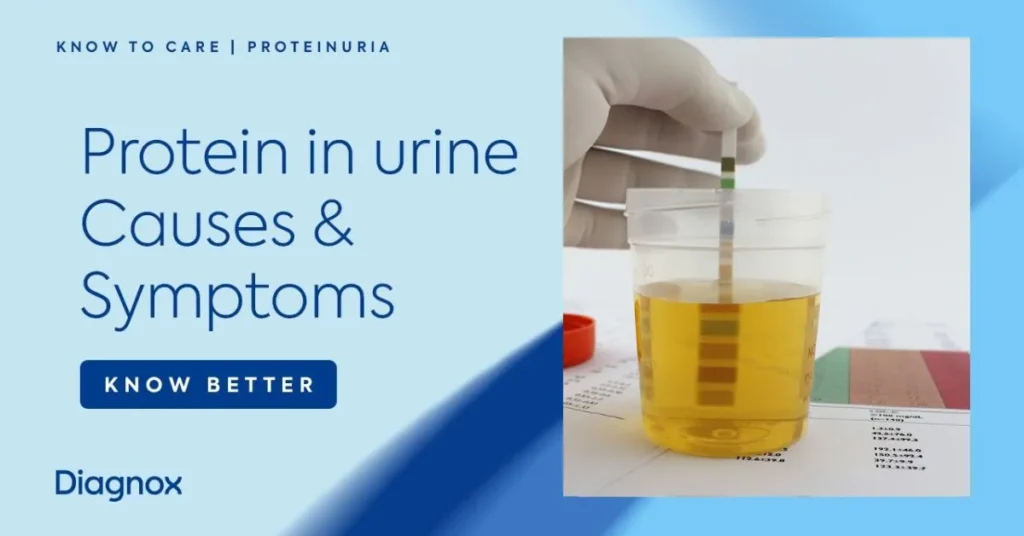 Protein in Urine Mean