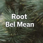 Root Bel Mean