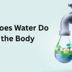 Water Do for the Body